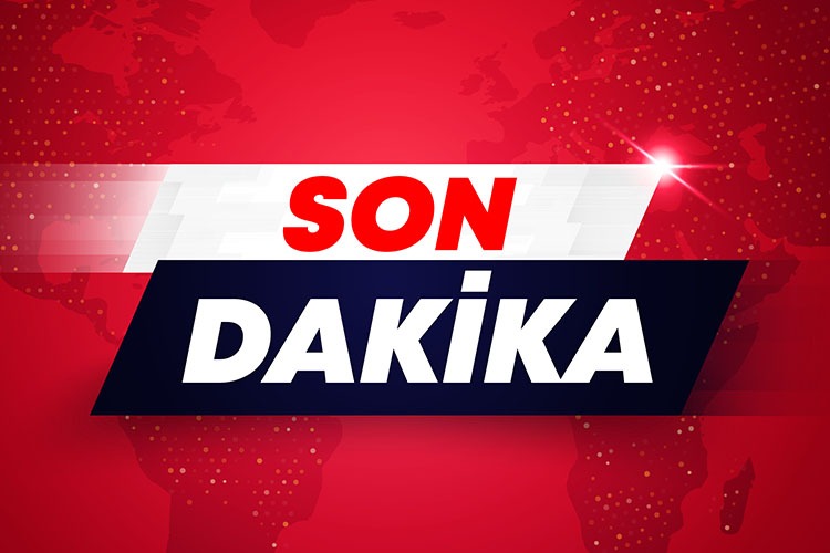 Denizden bolluk fışkırdı fiyatı geçen yılın da altına düştü
