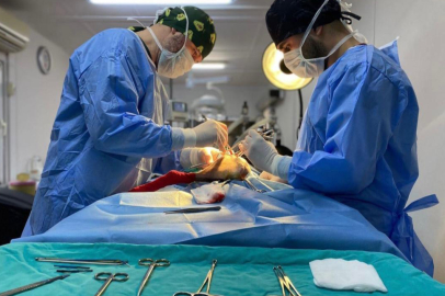 Osmangazi’de ayda ortalama 200 kedi kısırlaştırılıyor