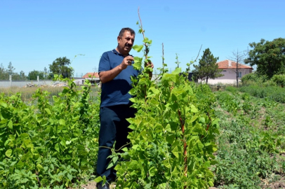 Ziraat Mühendisleri kendi çiftliklerini kurabilmesi için yeni projelerle teşvik edilmeli