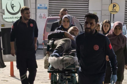 Budadığı ağaçtan düşen şahıs yaralandı