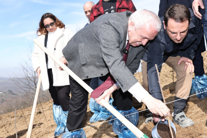 Nilüfer Belediyesi ahududu üretimi ile çiftçiye örnek olacak