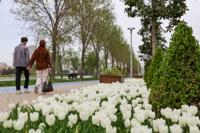 Büyükşehir, parkları lale ve çiçeklerle renklendirdi