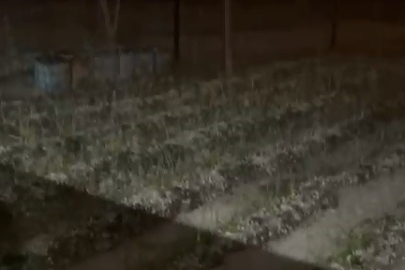 Büyükorhan'da dolu yağışı fidelere zarar verdi