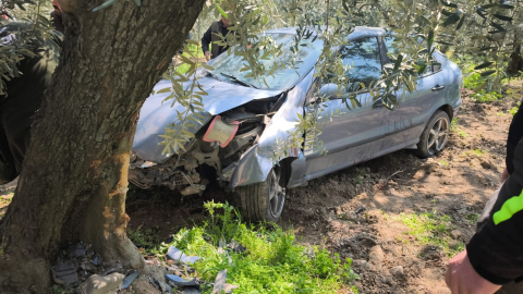 Köpeğe çarpmamak için kaza yaptı