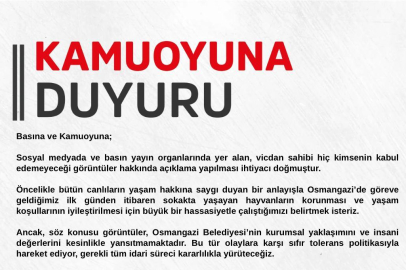 Osmangazi Belediyesi'nden hayvan katliamına açıklama: "Organize bir operasyon"
