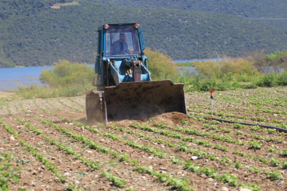 Devlet çiftçiye "ekin" diyor, DSİ ekili alanları düzlüyor