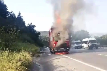 Hayvan yüklü kamyon alevlere teslim oldu