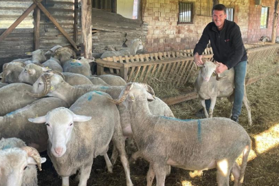 Kurbanlıkları satıp kazancıyla Temmuz ayında evlenecek