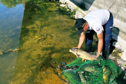 Kaçak avcılara 52 bin lira ceza