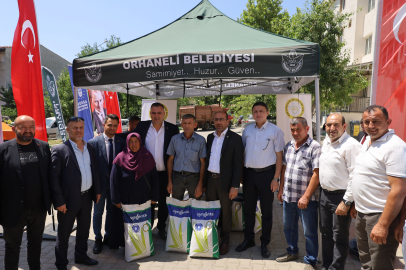 Dağ ilçelerine silajlık mısır tohumu desteği