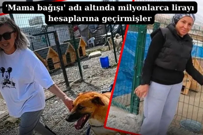 Hayvan sevgisi bahane milyonlar şahane