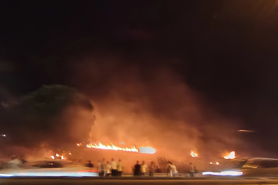 Bursa Mudanya Yolu'nda alevler yükseldi! Çağrışan'da yangın paniği!