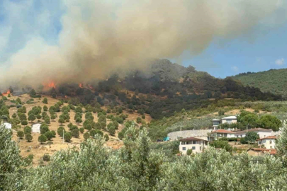 Bursa İznik’te büyük orman yangını