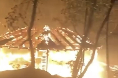 Bursa'da piknikçilerin söndürmeden bıraktığı ateş ormanı küle çeviriyordu