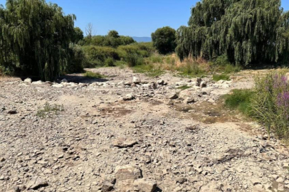 İznik'te kuraklık alarmı...Çakırca deresi kurudu, göl çekilmeye başladı