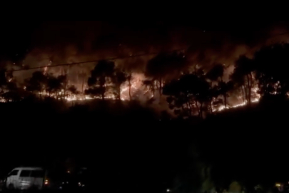 Bilecik'te alevlerin yaklaştığı Selçik köyü boşaltıldı