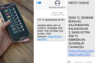 Sanal kumar felaketi: "Seferberlik ilan edilmeli"