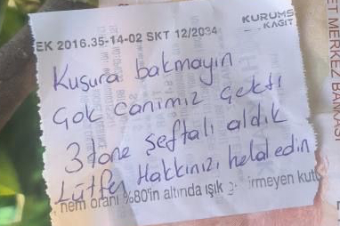 İnsanlık ölmemiş dedirten hareket