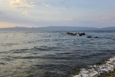 Boğulduğu sanılan dalgıç, yüzerek çıktı