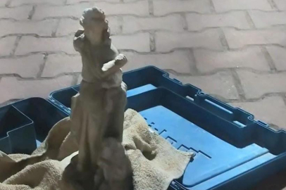 Roma ve Bizans dönemine ait heykeller ele geçirildi