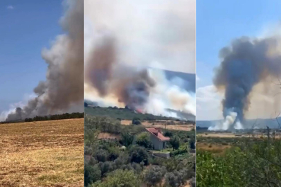 Bursa’da orman yangını, çok sayıda ekip müdahale ediyor