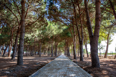 Bursa'ya devasa park ve mesire alanı
