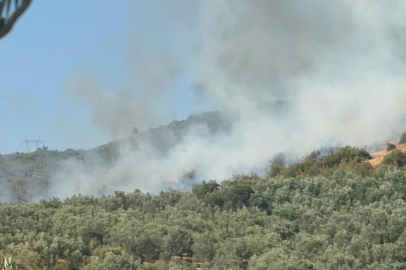 İznik'te orman yangını