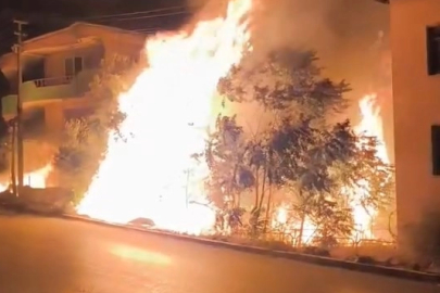 Bursa’da alev alan ağaçlar villaları böyle tehdit etti