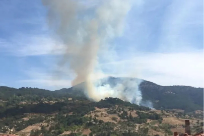 Bursa’nın dağ ilçesinde orman yagını