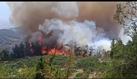 Bursa’daki orman yangını büyüyor
