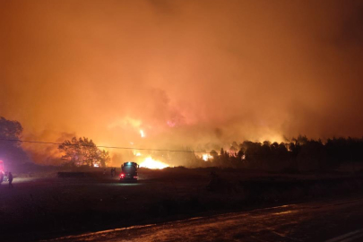 Karacabey'de orman yangınını söndürme çalışmaları sürüyor