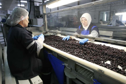 Marmarabirlik vites büyüttü kozmetik ve çikolata sektörüne de giriyor