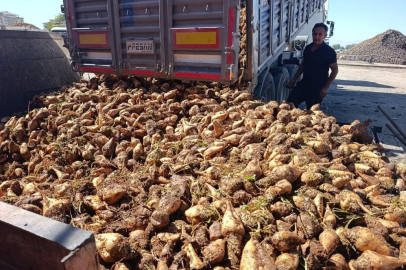 Şekerde "metal kalıntısı" şikayetleri Bakanlığı harekete geçirdi