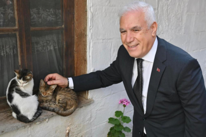 Büyükşehir'den can dostlara şefkat eli