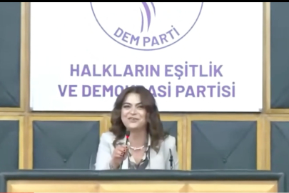 Nereden nereye... Meclis'te ilk defa 'Apo' sloganı atıldı!