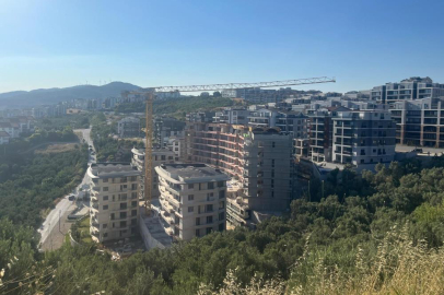 Mahkeme dur dedi ama kimse durmadı