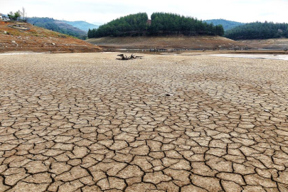 Bursa tarımının kalbi Gölbaşı ve Demirtaş Barajları kurudu