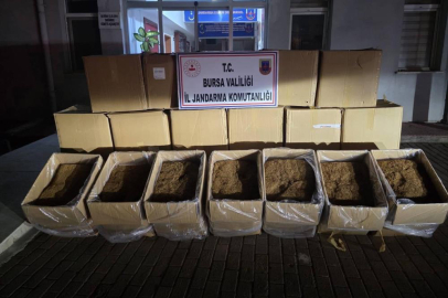 Bursa’da 750 kilogram kaçak tütün ele geçirildi