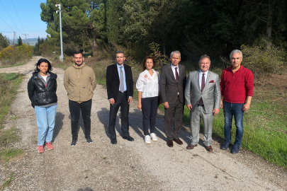 Bursa tarımına akademik bakış