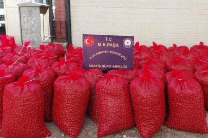 Balıkesir'deki Ceviz Hırsızları Bursa'da Yakalandı: 46 Çuval Geri Alındı