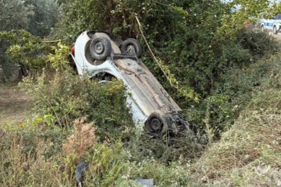 Sollama yaparken zeytinliğe uçtu