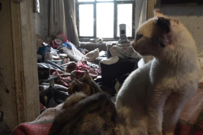 Yalnız yaşayan adamın evinde korkunç manzara