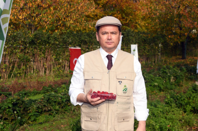 Osmangazi’de Üzümsü Meyvelerde Organik Tarım Seferberliği