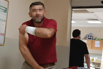 Bursa'da ağaç budarken hastanelik oldu