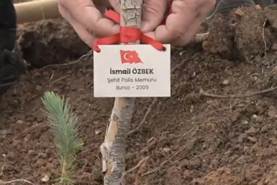 Bursa’da şehitler anısına fidan dikildi