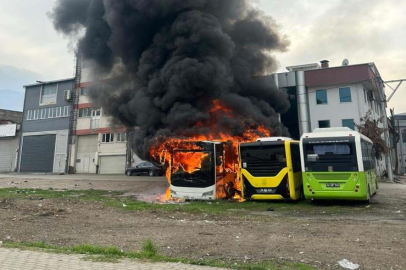 Park halindeki otobüsler cayır cayır yandı