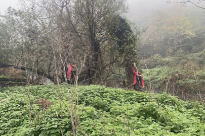 Bursa'da 144 saatlik umutlu bekleyiş: 80 yaşındaki Mustafa Abi'den 6 gündür haber yok