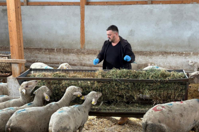 Şap mağduru üreticiler destek bekliyor