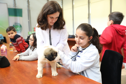 Minik veterinerler görev başında