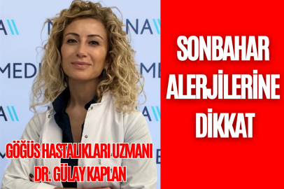 Sonbahar alerjilerine dikkat